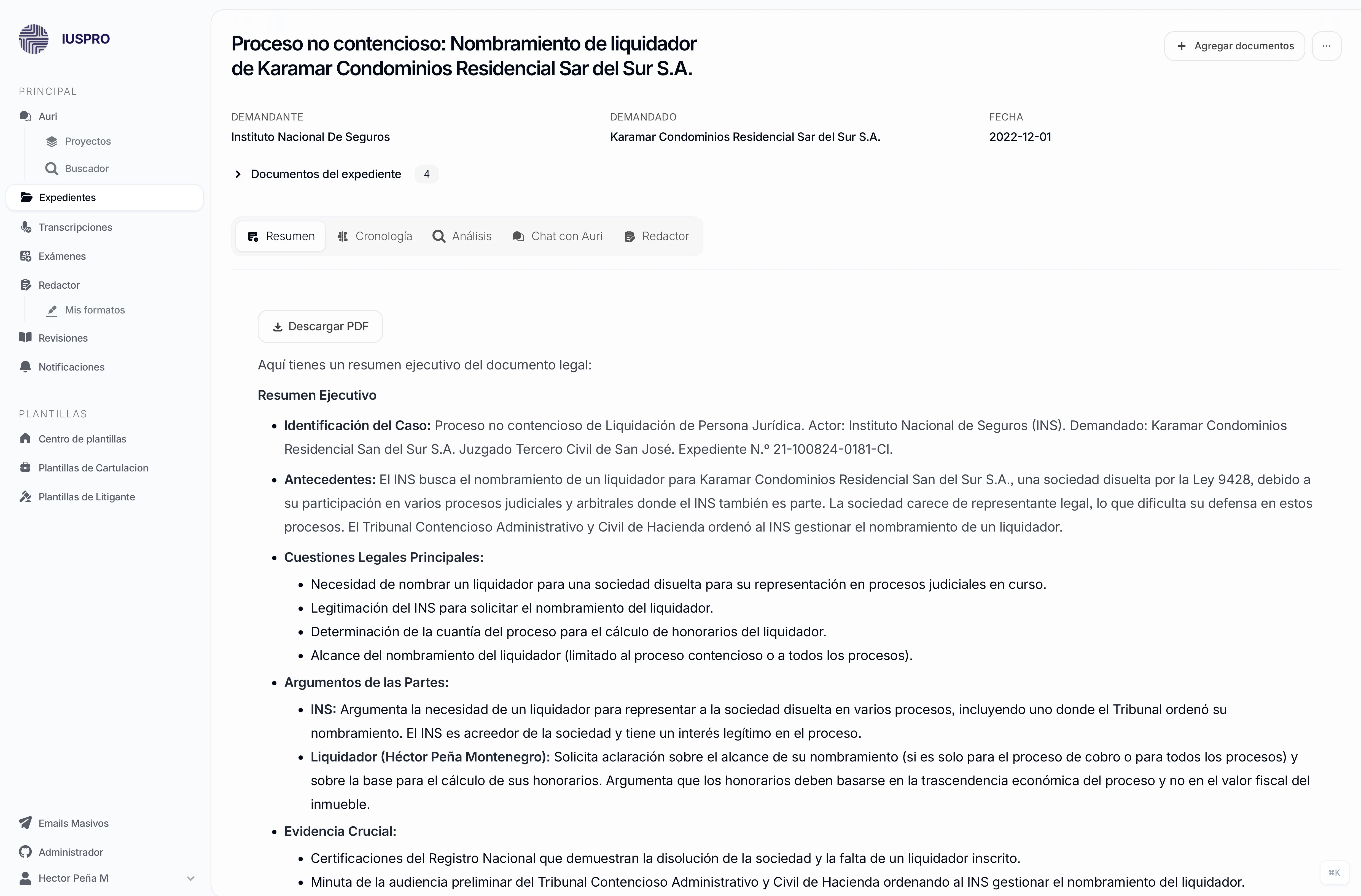 Captura de pantalla de análisis de expediente